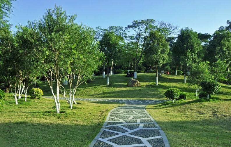 ​小面积庭院景观设计指南：空间利用与施工工艺融合方案