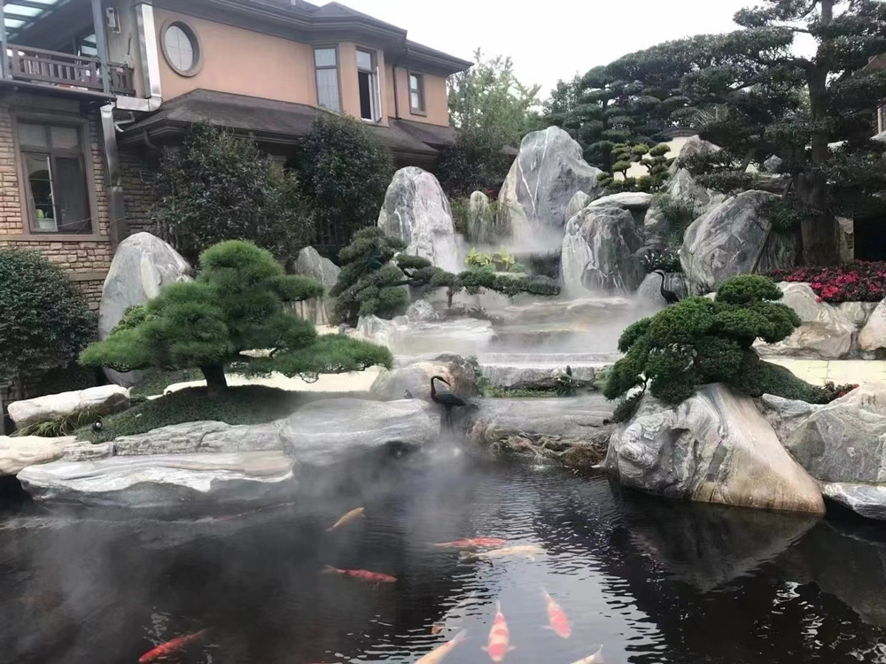 ​新优地被植物品种推广：'金叶过路黄'在园林施工中的应用案例